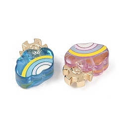 Transparent Resin Enamel Beads&nbsp;RESI-L047-19