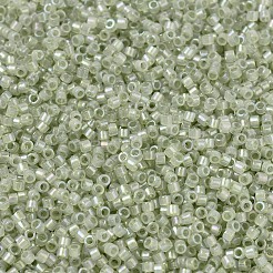 MIYUKI Delica Beads&nbsp;SEED-JP0008-DB1765