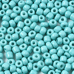 6/0 Glass Seed Beads&nbsp;SEED-S058-A-F437