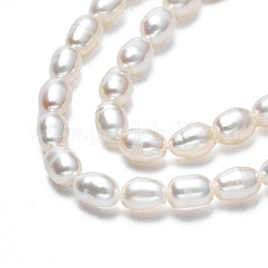 Natural Cultured Freshwater Pearl Beads Strands&nbsp;PEAR-N012-04D
