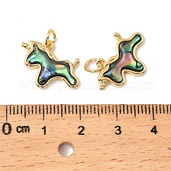 Natural Paua Shell Unicorn Pendants&nbsp;KK-G538-35G