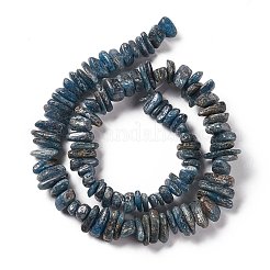 Natural Kyanite Beads Strands&nbsp;G-F719-09