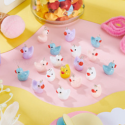 20Pcs Opaque Resin Pendants&nbsp;RESI-TADJ0001-09