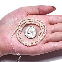 Natural Cultured Freshwater Pearl Beads Strand&nbsp;PEAR-N015-03B