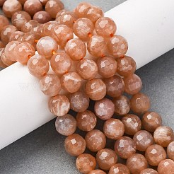 Natural Peach Moonstone Beads Strands&nbsp;X-G-J403-04A-8mm