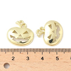 Alloy Pendants&nbsp;FIND-B047-02B-G