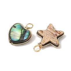 Natural Paua Shell Pendants&nbsp;PALLOY-JF05911