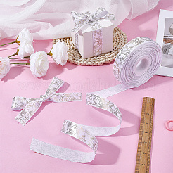 Polyester Ribbons&nbsp;OCOR-WH0120-46A