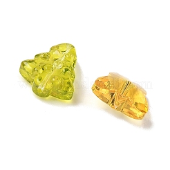 Mixed Style Glass Beads&nbsp;GLAA-XCP0001-70B