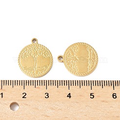 304 Stainless Steel Pendants&nbsp;STAS-R168-13G
