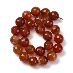 Natural Dragon Veins Agate(Dyed & Heated) Beads Strands&nbsp;G-K390-A02-01