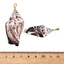 Brass & Natural Spiral Shell Big Pendants&nbsp;SHEL-Q029-29KCG