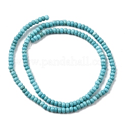 Natural Magnesite Beads Strands&nbsp;G-P598-A01-01