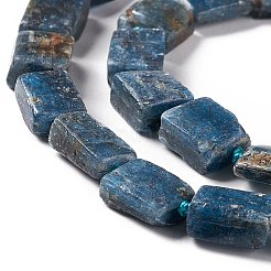 Natural Kyanite Beads Strands&nbsp;G-F719-08
