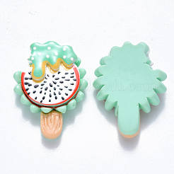 Resin Cabochons&nbsp;CRES-N024-01