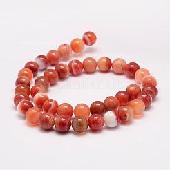 Natural Striped Agate/Banded Agate Bead Strands&nbsp;G-K153-B35-10mm