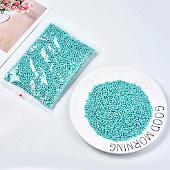 6/0 Glass Seed Beads&nbsp;SEED-S058-A-F437
