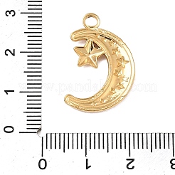 304 Stainless Steel Pendants&nbsp;STAS-N108-93G-02