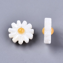 Natural Freshwater Shell Beads&nbsp;SHEL-S266-14A-01