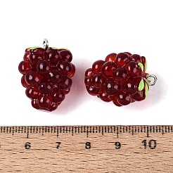 Translucent Resin Pendants&nbsp;RESI-N046-02