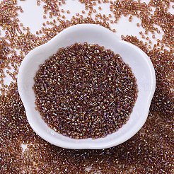 MIYUKI Delica Beads Small&nbsp;X-SEED-J020-DBS0170