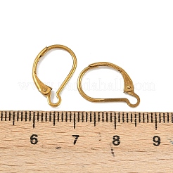 Ion Plating(IP) 304 Stainless Steel Leverback Earring Findings&nbsp;LS-STAS-K233-04G-01A