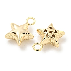 Brass Pendants&nbsp;KK-L211-009G-03