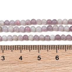 Natural Lepidolite Beads Strands&nbsp;GG-CBA0389-A05-3mm