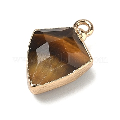 Natural Tiger Eye Pendants&nbsp;G-K422-01G-08