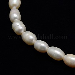 Natural Cultured Freshwater Pearl Beads Strands&nbsp;PEAR-L001-B-03