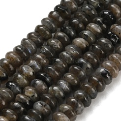 Natural Larvikite Beads Strands&nbsp;G-Z110-B19-2x4mm
