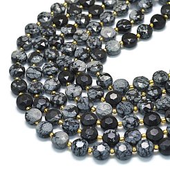 Natural Snowflake Obsidian Beads Strands&nbsp;G-C116-A138-01