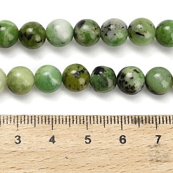 Natural Serpentine Beads Strands&nbsp;G-Z110-C04-8mm