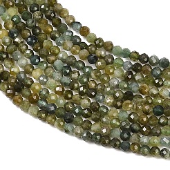 Natural Green Tourmaline Beads Strands&nbsp;G-B175-D14-2mm