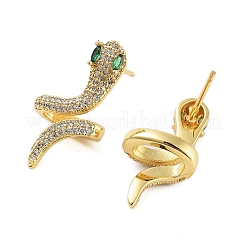 Rack Plating Snake Brass Stud Earrings&nbsp;EJEW-N055-45G-RS