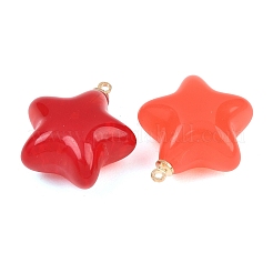 Acrylic Pendants&nbsp;FIND-E054-03