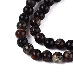 Natural Biotite Beads Strands&nbsp;G-Q616-01A