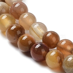 Natural Petrified Wood Round Bead Strands&nbsp;G-P070-69-3mm
