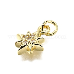 Brass Micro Pave Cubic Zirconia Pendants&nbsp;KK-Z100-14G