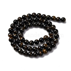 Dyed Natural Blue Tiger Iron Beads Strands&nbsp;G-G286-A02-6mm