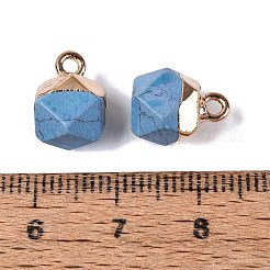 Dyed Synthetic Turquoise Pendants&nbsp;G-N359-18G-20