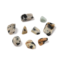 Pandahall Natural Dalmatian Jasper Chip Beads&nbsp;G-M055-04