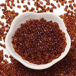 Spray Painted Glass Seed Beads&nbsp;SEED-F005-05A-01