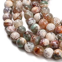 Natural Fire Crackle Agate(Dyed & Heated) Beads Strands&nbsp;G-K425-A03-14mm