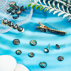 Paua Shell Cabochons&nbsp;SHEL-BC0001-018