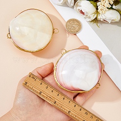 Shell Sculpture Display Decorations&nbsp;DJEW-WH0053-81A