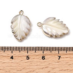 Natural Trochid Shell/Trochus Shell Pendants&nbsp;SHEL-B003-10G