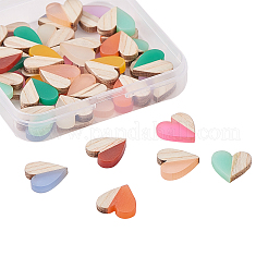 Resin & Wood Two Tone Cabochons&nbsp;RESI-CJ0001-97