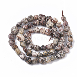 Natural Leopard Skin Jasper Beads Strands&nbsp;G-S363-032