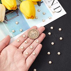 Sew on Acrylic Imitation Pearl&nbsp;SACR-GF0001-03C